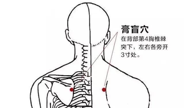 大暑 | 湿气严重，你还在补阳气？转用3种滋阴法，全年少生病